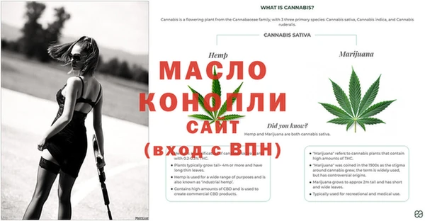 стафф Богданович